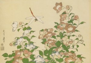 Bell-Flower and Dragonfly